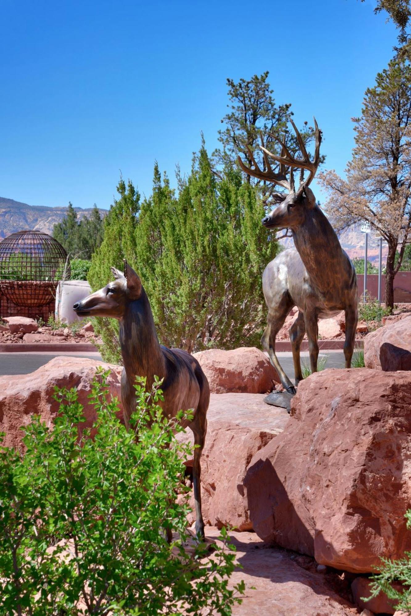 Residence Inn By Marriott Sedona Eksteriør bilde